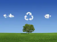 AdobeStock_18973237